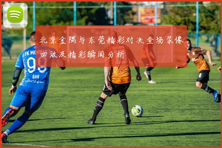北京金隅与东莞精彩对决全场录像回放及精彩瞬间分析