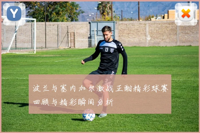 波兰与塞内加尔激战正酣精彩球赛回顾与精彩瞬间分析