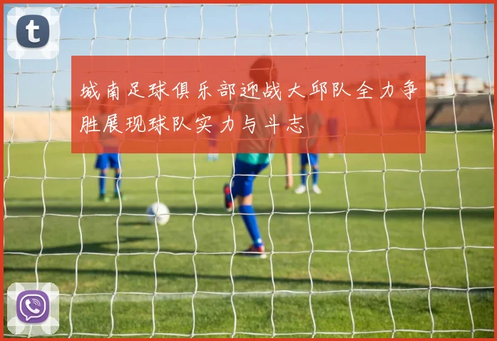 城南足球俱乐部迎战大邱队全力争胜展现球队实力与斗志