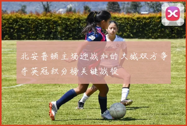 北安普顿主场迎战加的夫城双方争夺英冠积分榜关键战役
