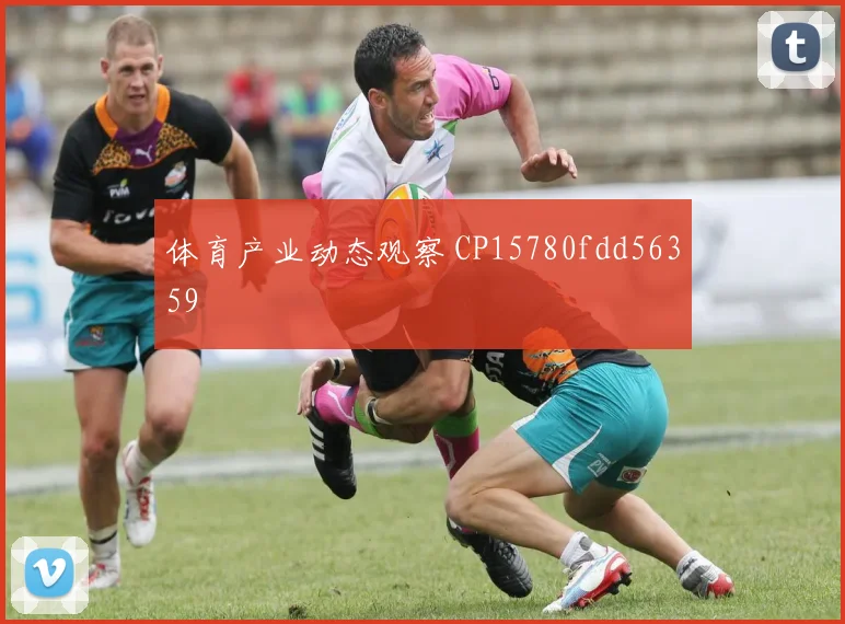 体育产业动态观察 CP15780fdd56359