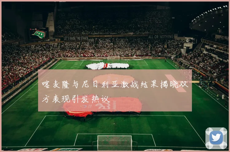 喀麦隆与尼日利亚激战结果揭晓双方表现引发热议